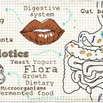 Gut bacteria Udo's Choice