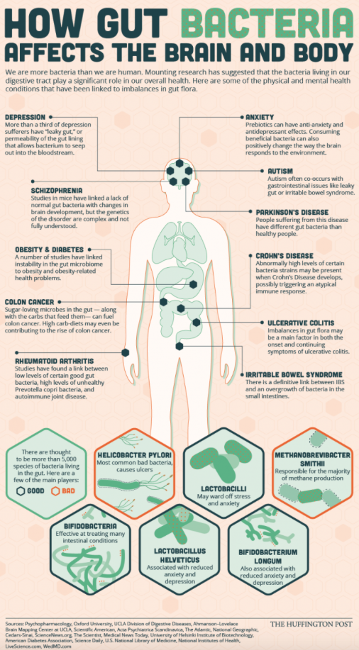 Gut bacteria plays critical role in our life, we must protect it with ...